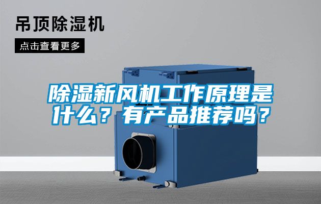 除濕新風(fēng)機工作原理是什么？有產(chǎn)品推薦嗎？