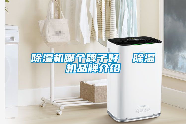 除濕機哪個(gè)牌子好  除濕機品牌介紹