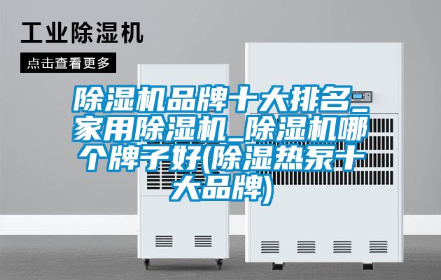 除濕機品牌十大排名_家用除濕機_除濕機哪個(gè)牌子好(除濕熱泵十大品牌)