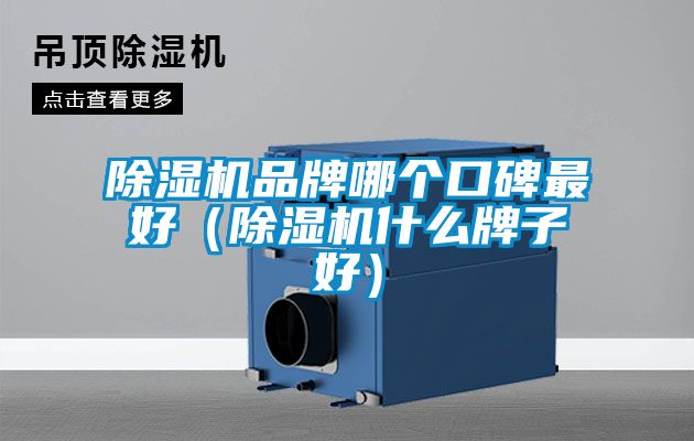 除濕機品牌哪個(gè)口碑最好（除濕機什么牌子好）
