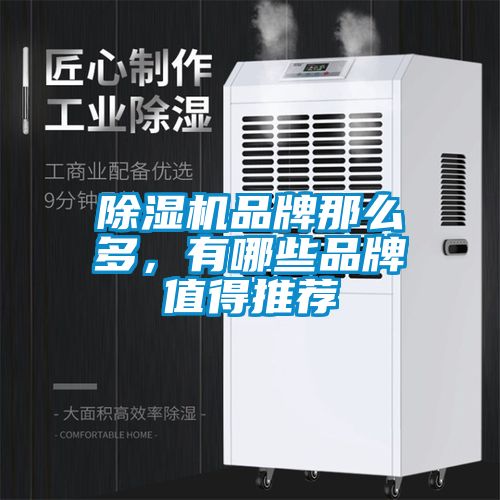 除濕機品牌那么多，有哪些品牌值得推薦