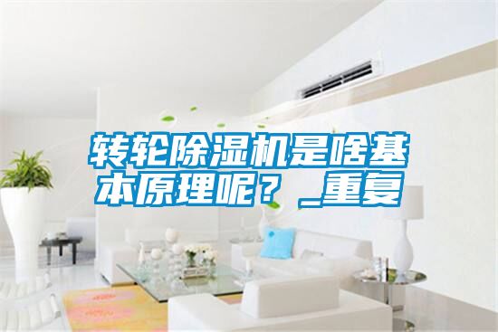 轉輪除濕機是啥基本原理呢？_重復