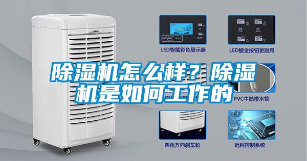 除濕機怎么樣？除濕機是如何工作的