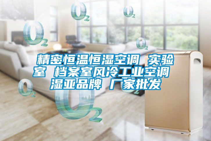 精密恒溫恒濕空調 實(shí)驗室 檔案室風(fēng)冷工業(yè)空調 濕亞品牌 廠(chǎng)家批發(fā)