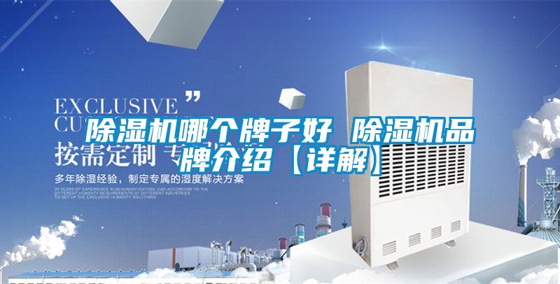 除濕機哪個(gè)牌子好 除濕機品牌介紹【詳解】