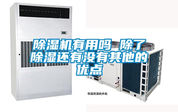 除濕機有用嗎 除了除濕還有沒(méi)有其他的優(yōu)點(diǎn)