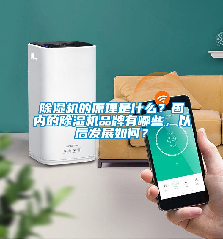 除濕機的原理是什么？國內的除濕機品牌有哪些，以后發(fā)展如何？