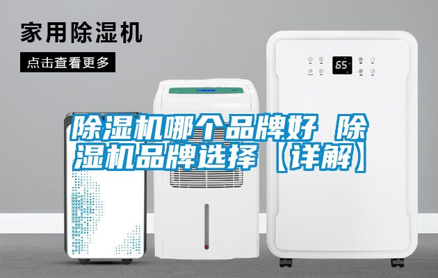 除濕機哪個(gè)品牌好 除濕機品牌選擇【詳解】