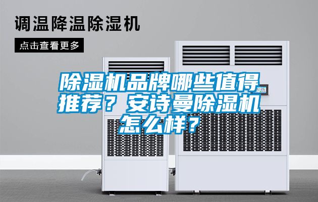 除濕機品牌哪些值得推薦？安詩(shī)曼除濕機怎么樣？