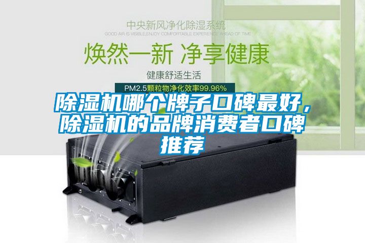 除濕機哪個(gè)牌子口碑最好，除濕機的品牌消費者口碑推薦