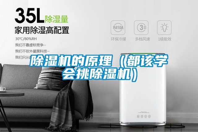 除濕機的原理（都該學(xué)會(huì )挑除濕機）