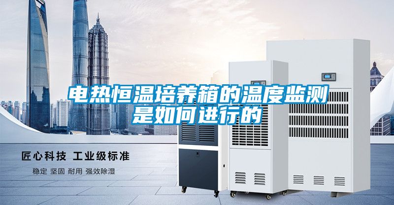 電熱恒溫培養箱的溫度監測是如何進(jìn)行的