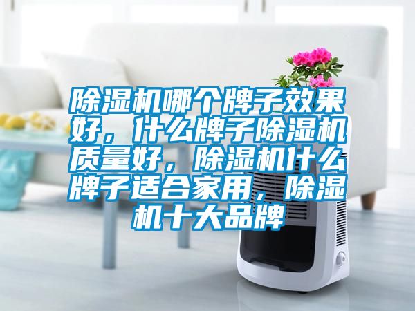 除濕機哪個(gè)牌子效果好，什么牌子除濕機質(zhì)量好，除濕機什么牌子適合家用，除濕機十大品牌