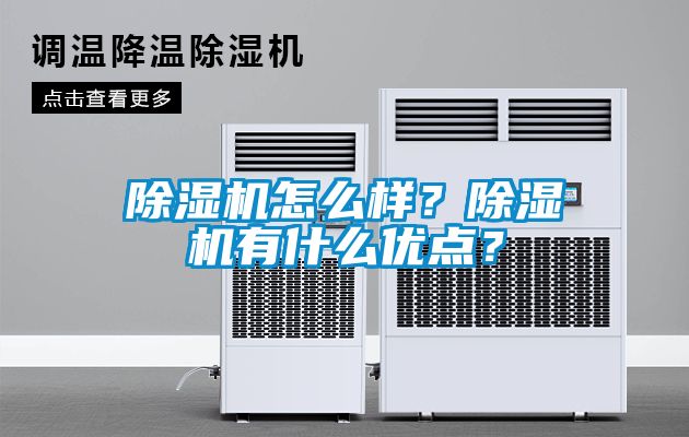 除濕機怎么樣？除濕機有什么優(yōu)點(diǎn)？