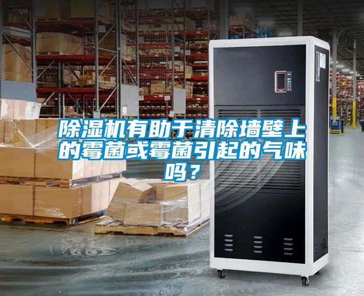 除濕機有助于清除墻壁上的霉菌或霉菌引起的氣味嗎？