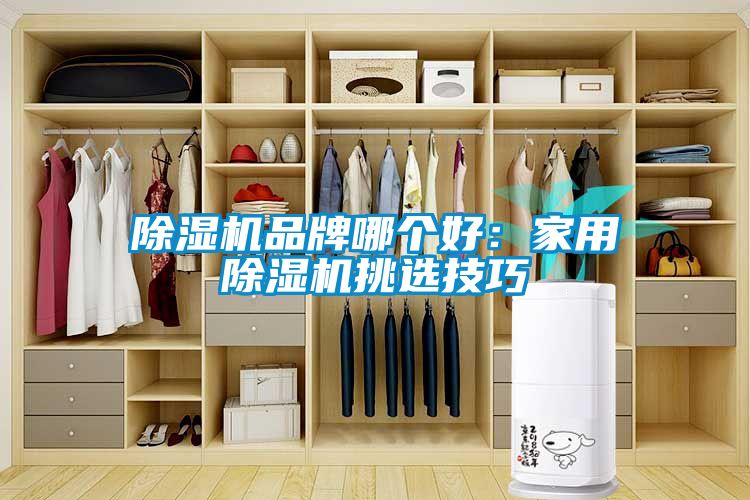 除濕機品牌哪個(gè)好：家用除濕機挑選技巧