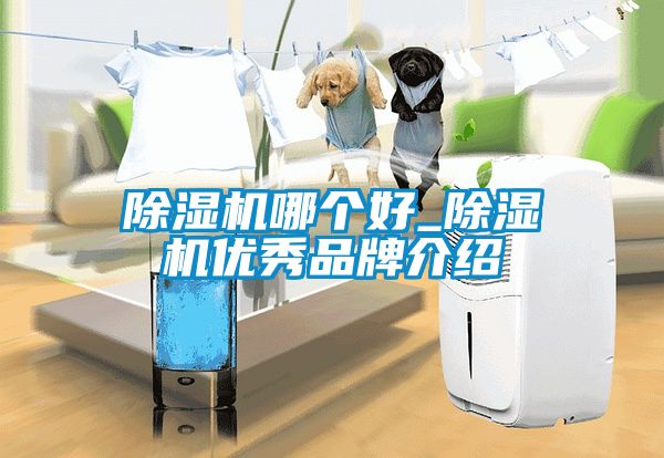 除濕機哪個(gè)好_除濕機優(yōu)秀品牌介紹