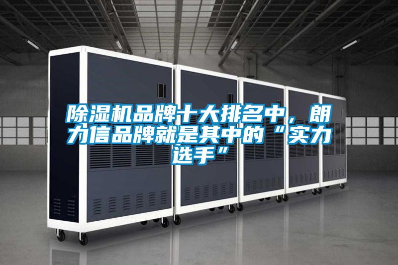 除濕機品牌十大排名中，朗力信品牌就是其中的“實(shí)力選手”