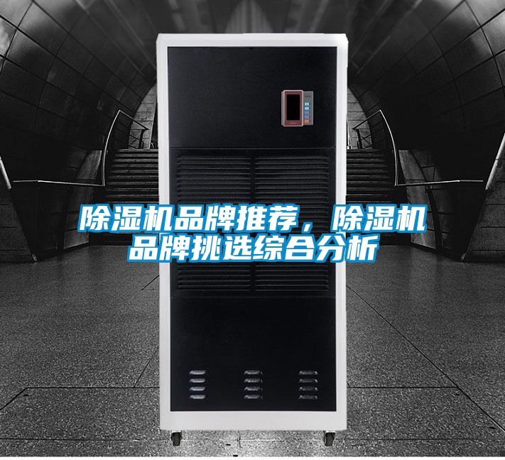 除濕機品牌推薦，除濕機品牌挑選綜合分析