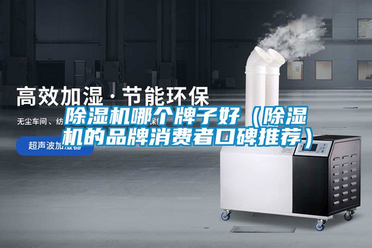除濕機哪個(gè)牌子好（除濕機的品牌消費者口碑推薦）