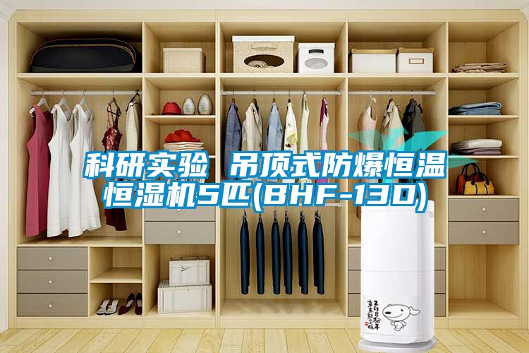 科研實(shí)驗 吊頂式防爆恒溫恒濕機5匹(BHF-13D)