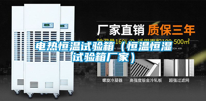 電熱恒溫試驗箱（恒溫恒濕試驗箱廠(chǎng)家）