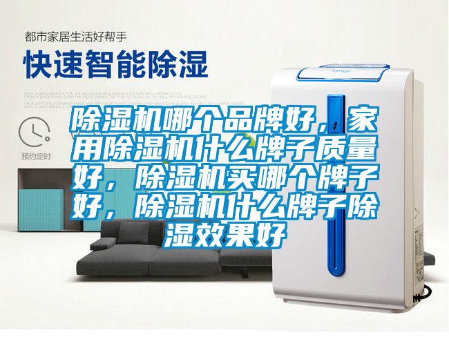 除濕機哪個(gè)品牌好，家用除濕機什么牌子質(zhì)量好，除濕機買(mǎi)哪個(gè)牌子好，除濕機什么牌子除濕效果好