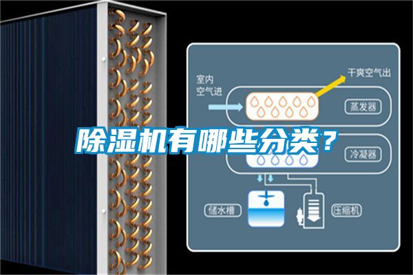 除濕機有哪些分類(lèi)？