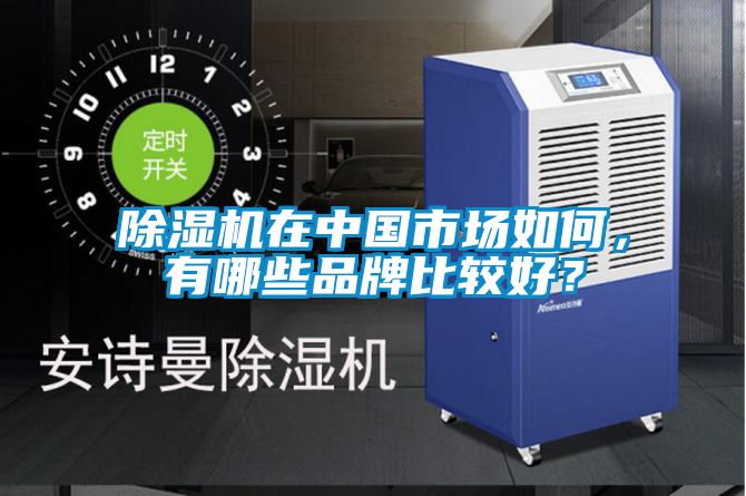 除濕機在中國市場(chǎng)如何，有哪些品牌比較好？