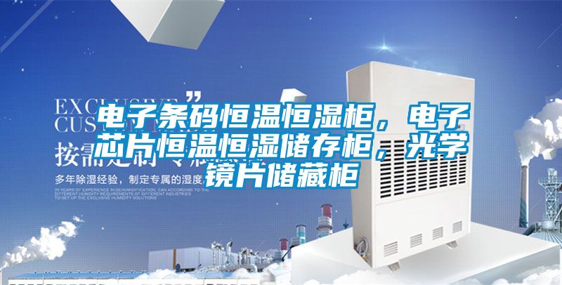 電子條碼恒溫恒濕柜，電子芯片恒溫恒濕儲存柜，光學(xué)鏡片儲藏柜