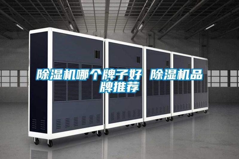除濕機哪個(gè)牌子好 除濕機品牌推薦