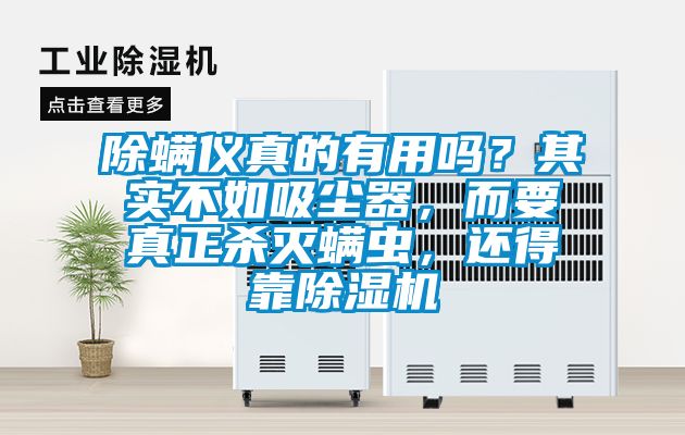 除螨儀真的有用嗎？其實(shí)不如吸塵器，而要真正殺滅螨蟲(chóng)，還得靠除濕機