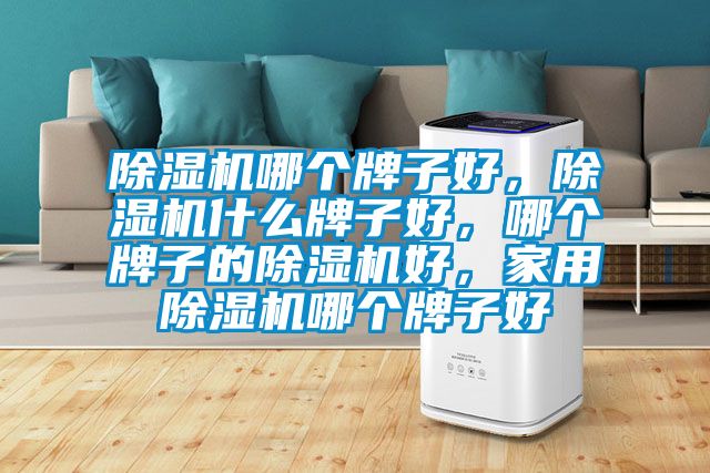 除濕機哪個(gè)牌子好，除濕機什么牌子好，哪個(gè)牌子的除濕機好，家用除濕機哪個(gè)牌子好
