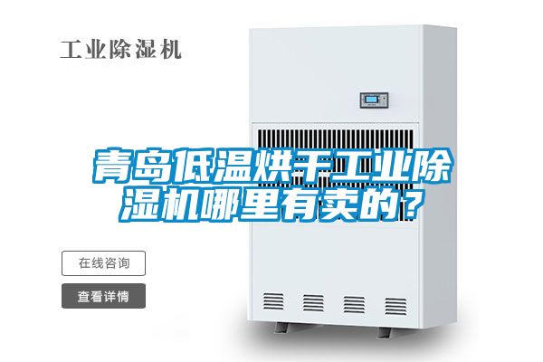 青島低溫烘干工業(yè)除濕機哪里有賣(mài)的？