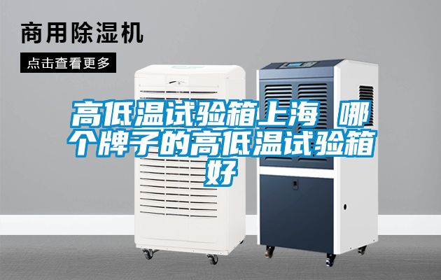 高低溫試驗箱上海 哪個(gè)牌子的高低溫試驗箱好