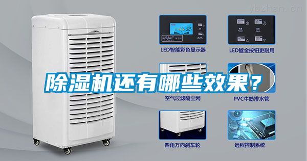 除濕機還有哪些效果？
