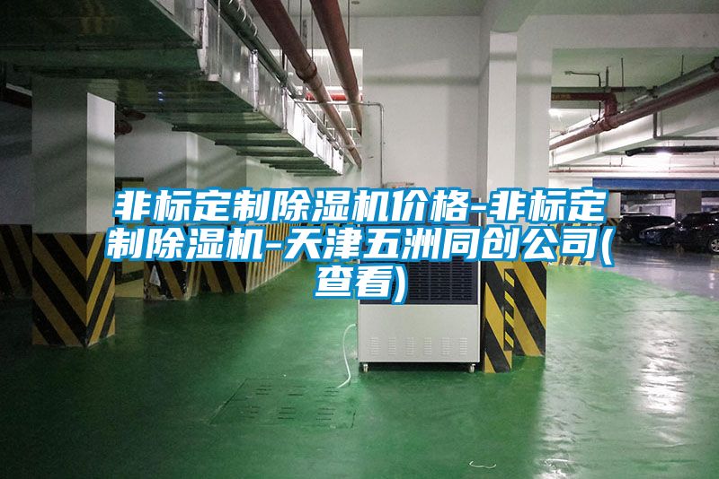 非標定制除濕機價(jià)格-非標定制除濕機-天津五洲同創(chuàng  )公司(查看)