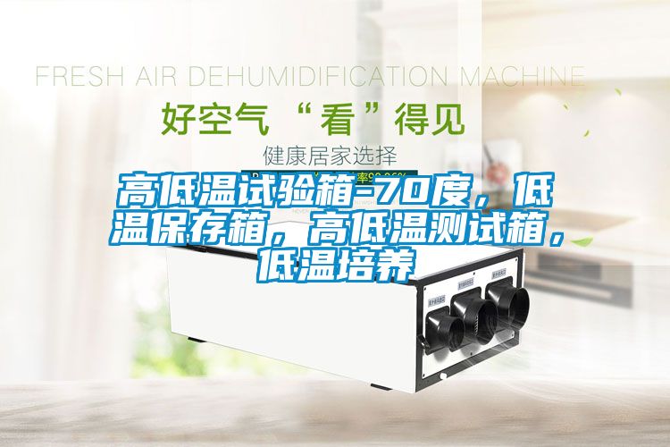 高低溫試驗箱-70度，低溫保存箱，高低溫測試箱，低溫培養