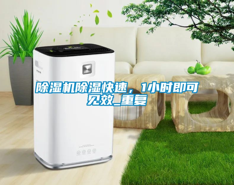 除濕機除濕快速，1小時(shí)即可見(jiàn)效_重復