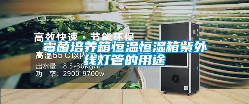 霉菌培養箱恒溫恒濕箱紫外線(xiàn)燈管的用途