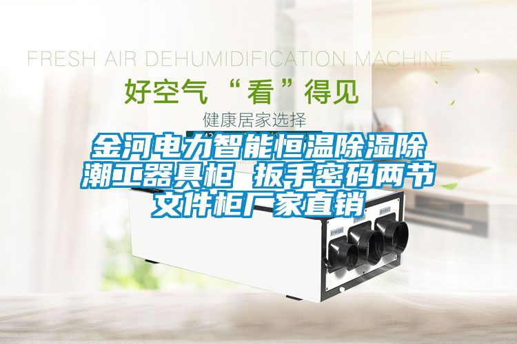 金河電力智能恒溫除濕除潮工器具柜 扳手密碼兩節文件柜廠(chǎng)家直銷(xiāo)