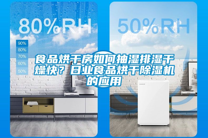 食品烘干房如何抽濕排濕干燥快？日業(yè)食品烘干除濕機的應用
