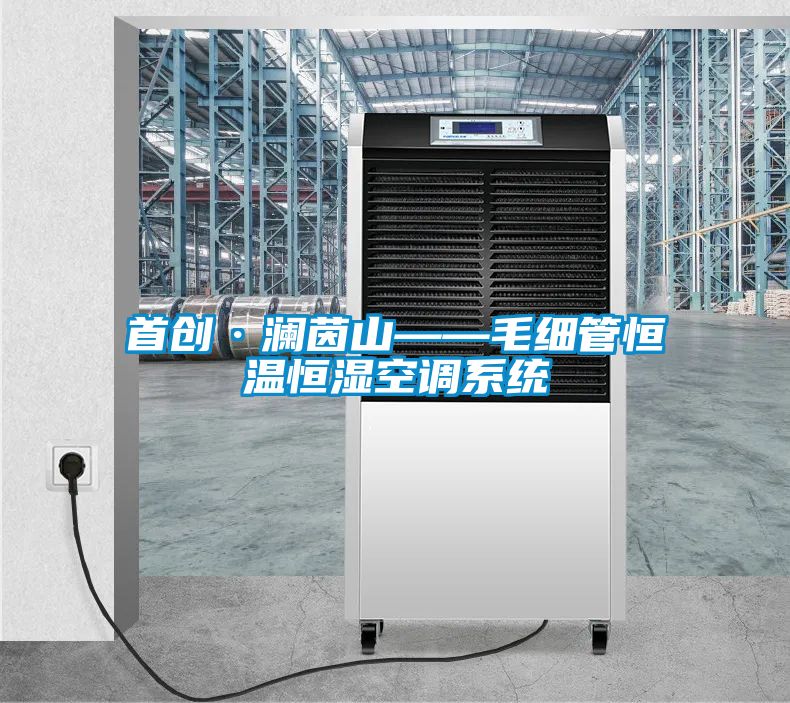 首創(chuàng  )·瀾茵山——毛細管恒溫恒濕空調系統
