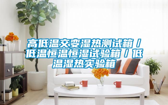 高低溫交變濕熱測試箱／低溫恒溫恒濕試驗箱／低溫濕熱實(shí)驗箱