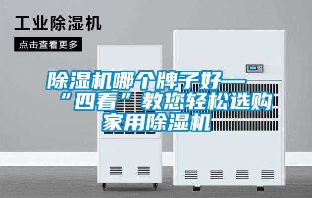 除濕機哪個(gè)牌子好—“四看”教您輕松選購家用除濕機