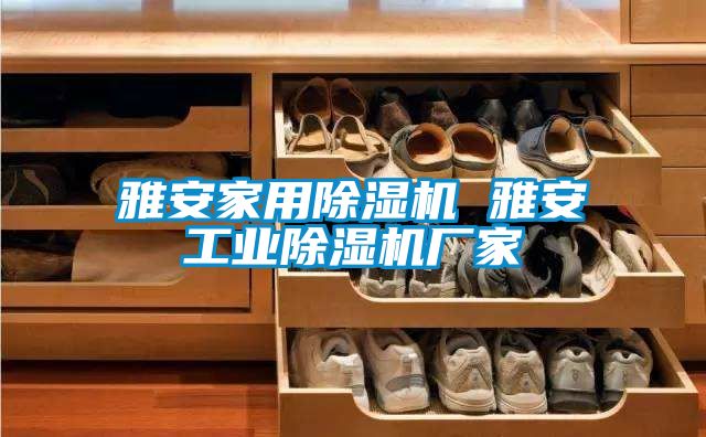 雅安家用除濕機 雅安工業(yè)除濕機廠(chǎng)家