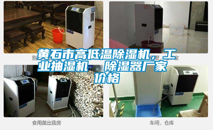 黃石市高低溫除濕機，工業(yè)抽濕機  除濕器廠(chǎng)家 價(jià)格