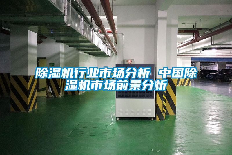 除濕機行業(yè)市場(chǎng)分析 中國除濕機市場(chǎng)前景分析
