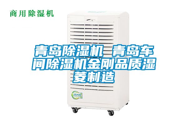 青島除濕機 青島車(chē)間除濕機金剛品質(zhì)濕菱制造