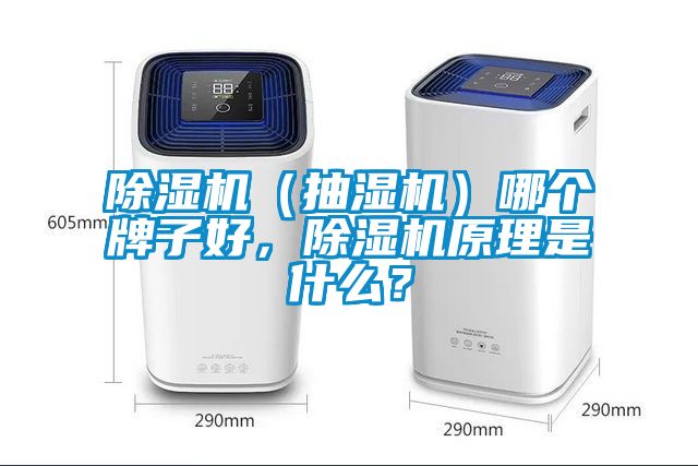 除濕機（抽濕機）哪個(gè)牌子好，除濕機原理是什么？